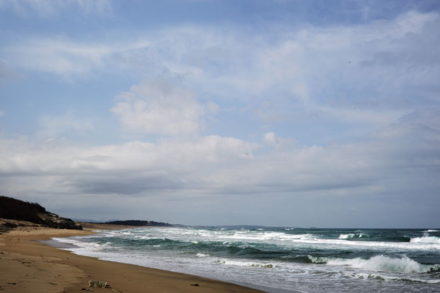 L1001865.jpg