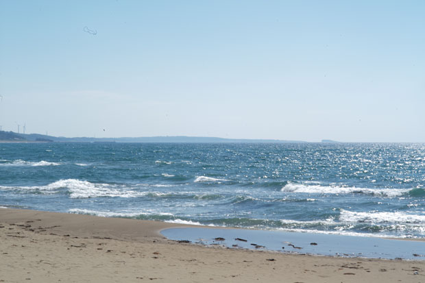 L1002012.jpg
