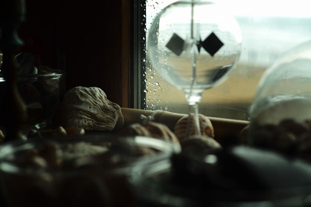 L1002100.jpg