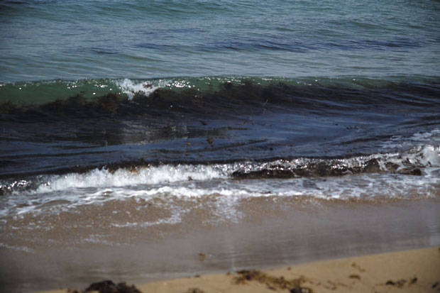 L1002115.jpg