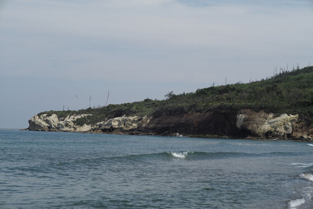 L1002157.jpg