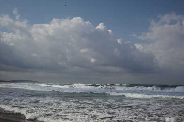 L1002164.jpg