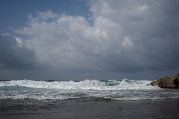 L1002167.jpg