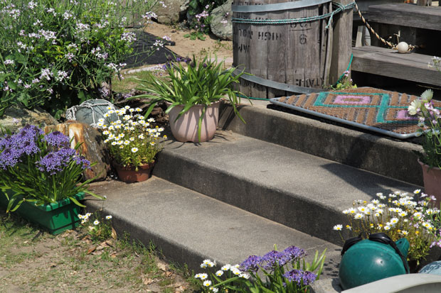 L1002221.jpg