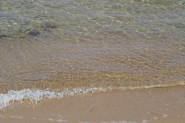 L1002227.jpg