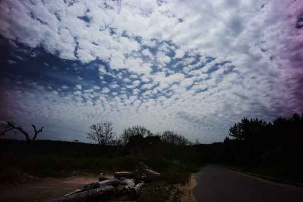 L1002297.jpg