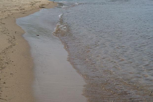 L1002546.jpg