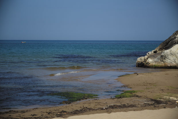 L1002581.jpg
