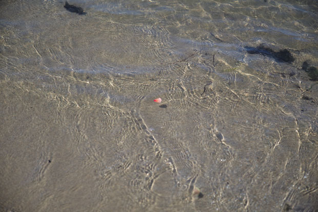 L1002592.jpg