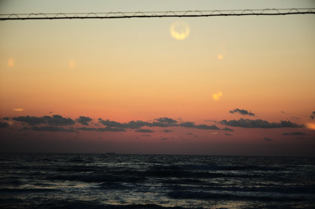 L1002634.jpg