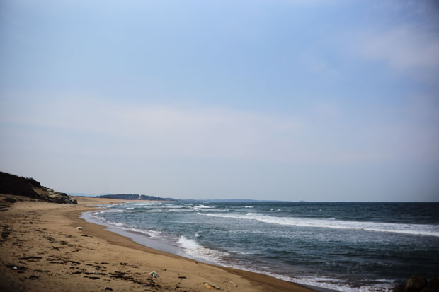 L1002650.jpg
