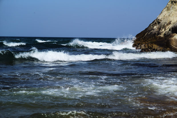 L1002706.jpg