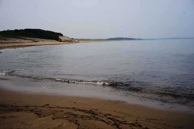 L1002790.jpg