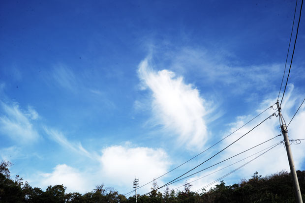 L1002811.jpg