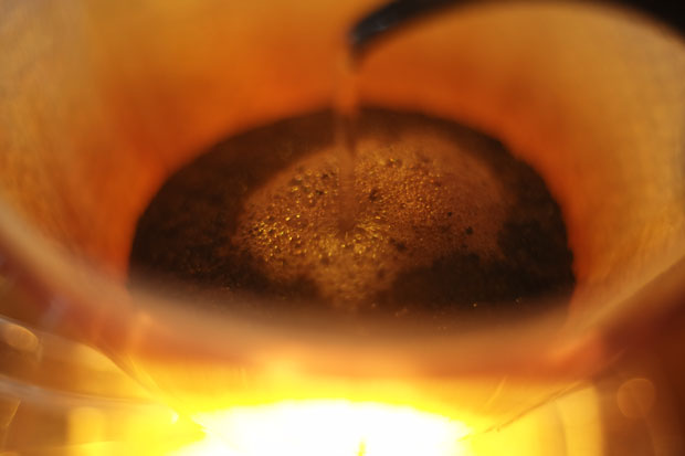 L1002898.jpg