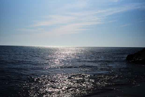 L1003002.jpg