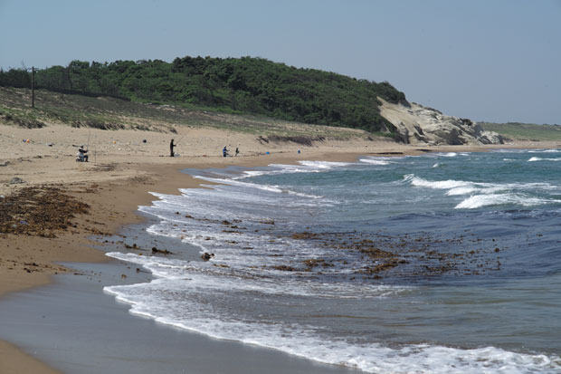 L1003178.jpg