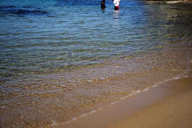 L1003323.jpg