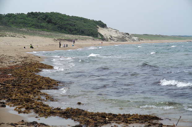 L1003342.jpg