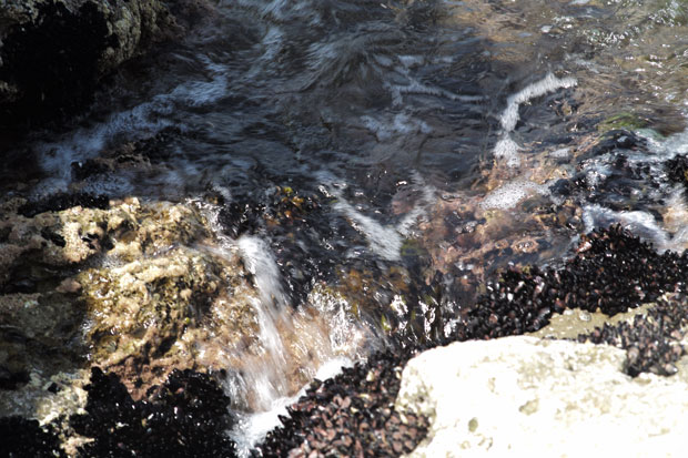 L1003691.jpg