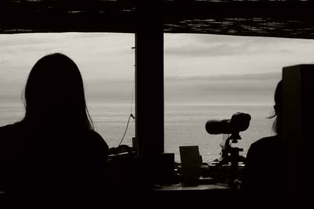L1003970.jpg