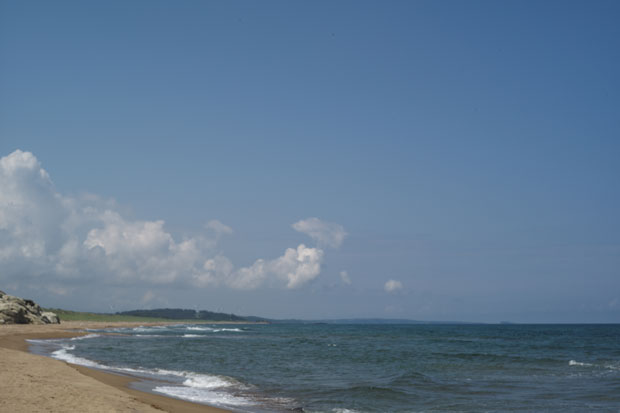 L1004012.jpg