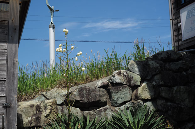 L1004014.jpg