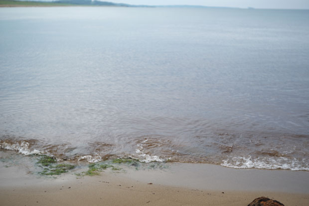 L1004176.jpg