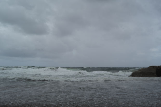 L1004219.jpg