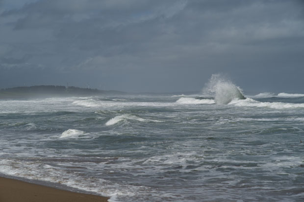 L1004291.jpg