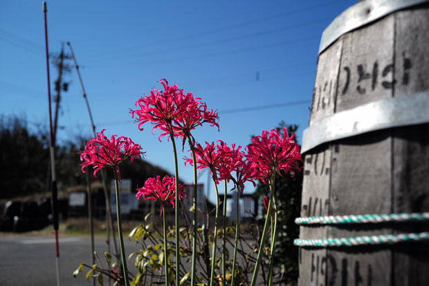 L1004628.jpg