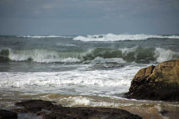L1004691.jpg
