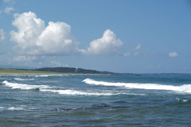 L1004781.jpg