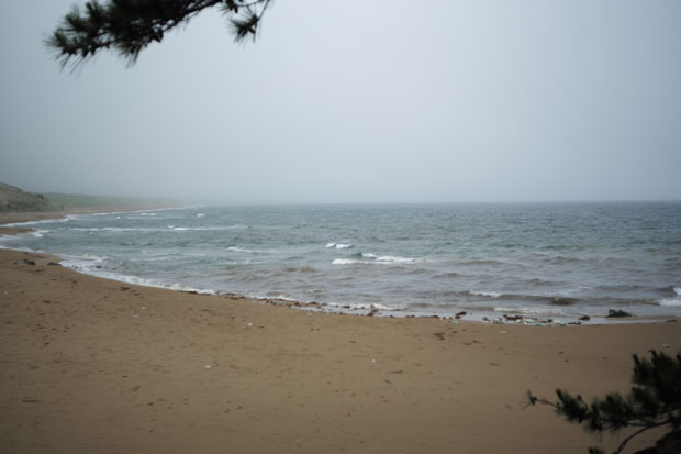 L1004901.jpg