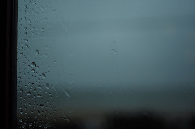 L1005008.jpg