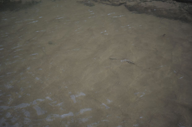L1005066.jpg