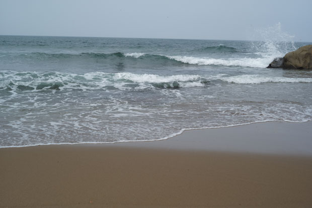 L1005160.jpg