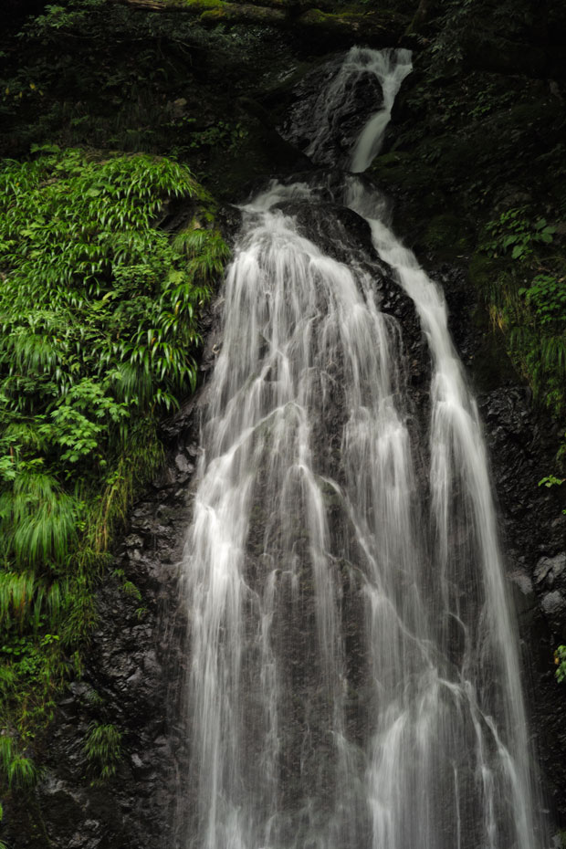 L1005211.jpg