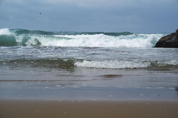 L1005258.jpg