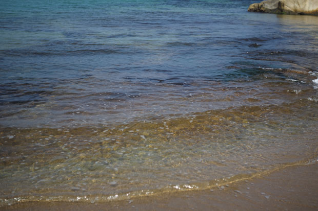 L1005315.jpg