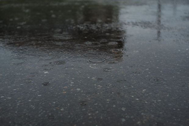 L1005380.jpg
