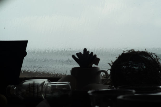 L1005602.jpg