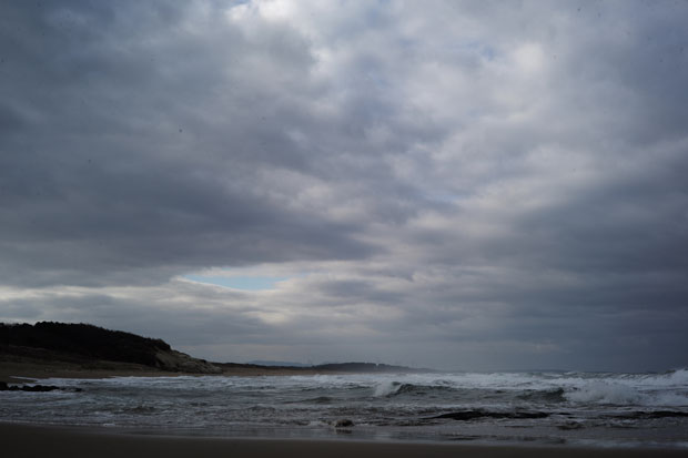 L1005780.jpg