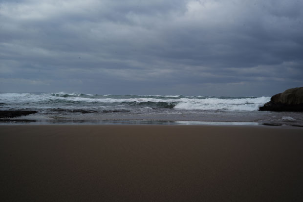 L1005782.jpg
