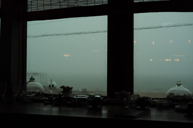 L1005803.jpg