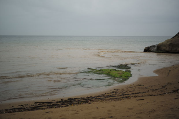 L1005819.jpg