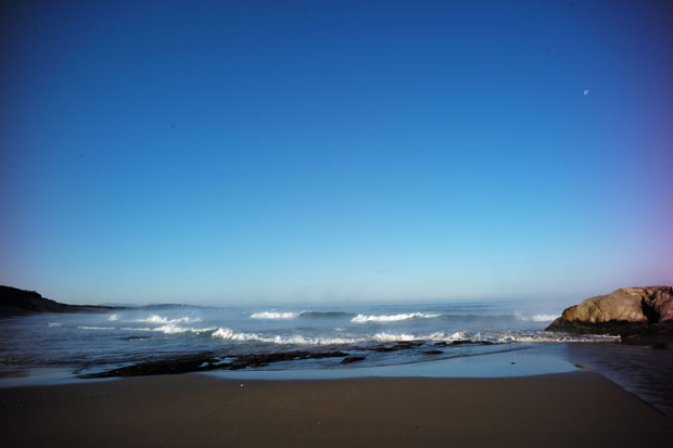 L1005890.jpg