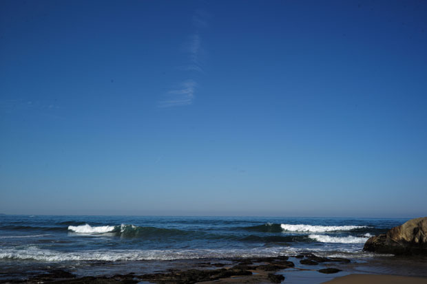 L1005922.jpg