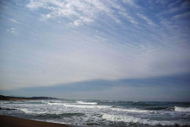 L1006102.jpg