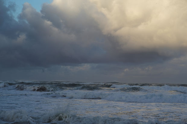 L1006157.jpg